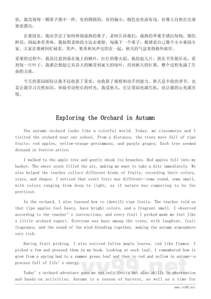 秋天的收获日记400字怎么写：小学生真实观察与描写指南