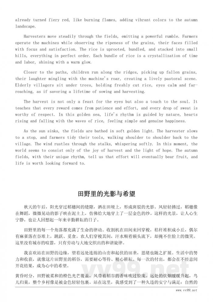 秋日田野的散文写景：一场关于收获与希望的旅程