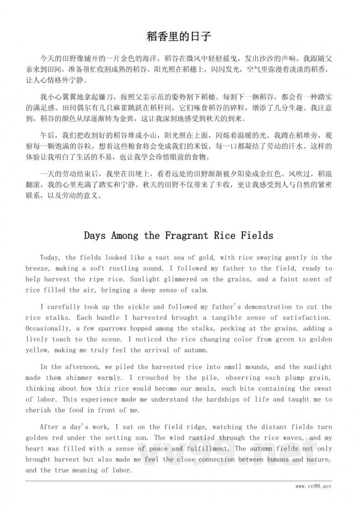 秋天的田野收获记：一位学生的日常观察