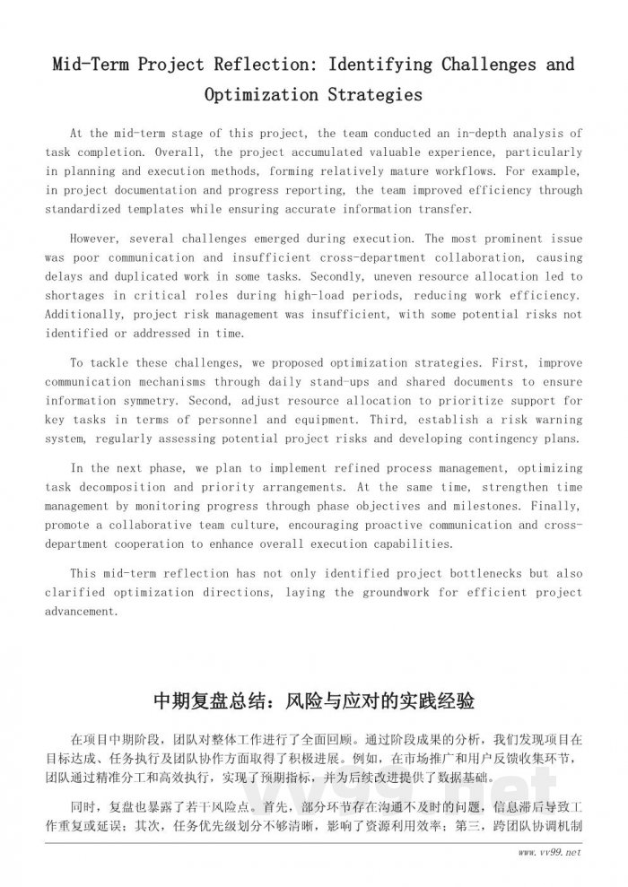 期中反思总结：职场项目执行的中期复盘与优化路径（工作总结）