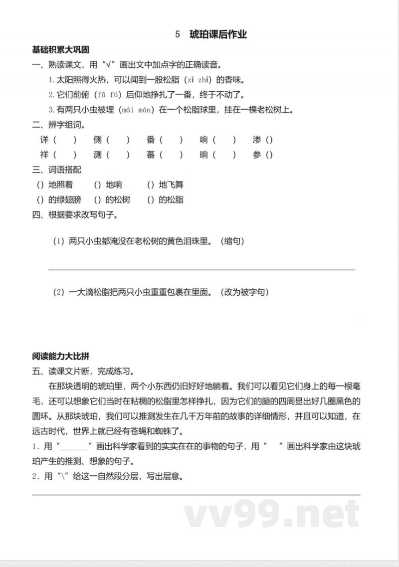 统编版语文四年级下册习题：5 琥珀
