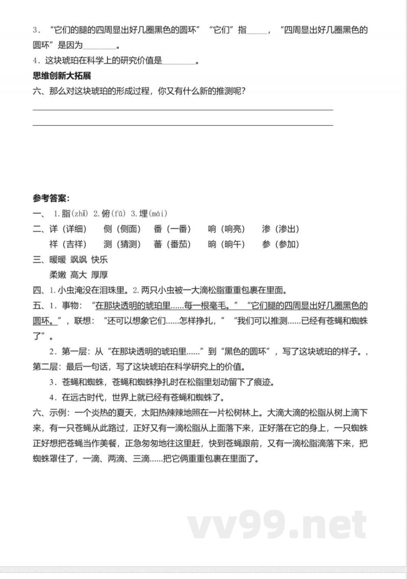 统编版语文四年级下册习题：5 琥珀