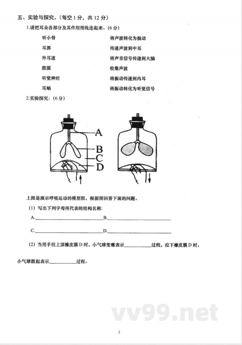 小学科学教科版四年级上册期末测试题22 小学科学教科版四年级上册期末测试题22