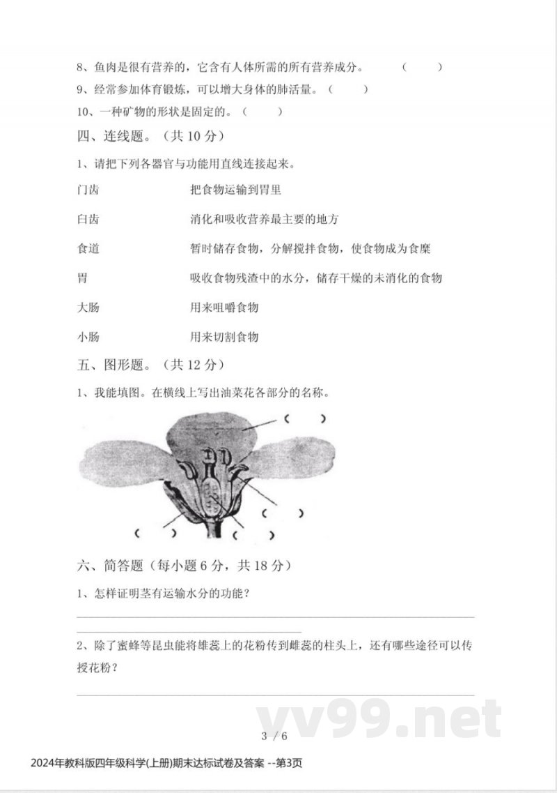 2024年教科版四年级科学(上册)期末达标试卷及答案