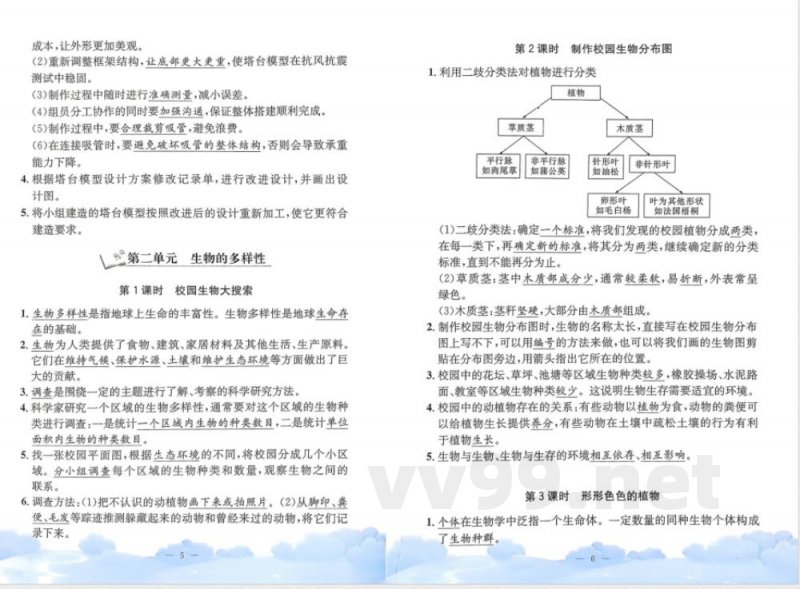 教科版六年级下册科学单元知识梳理
