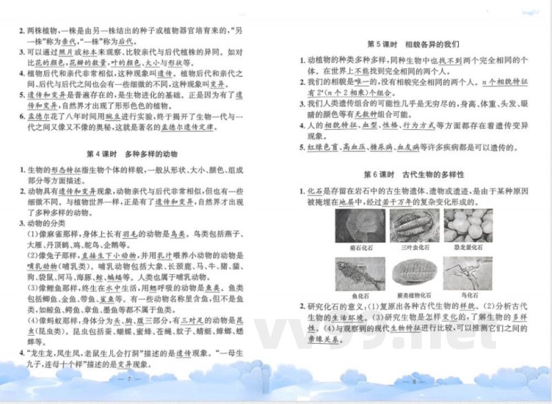 教科版六年级下册科学单元知识梳理