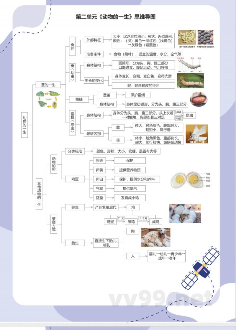 教科版科学三年级下册思维导图
