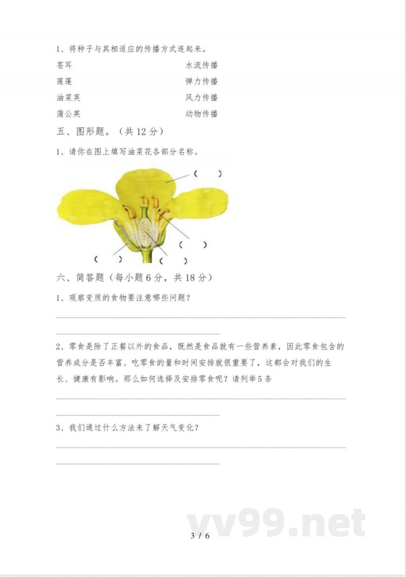 教科版四年级《科学》上册期中试卷及答案【完整版】 教科版四年级《科学》上册期中试卷及答案【完整版】