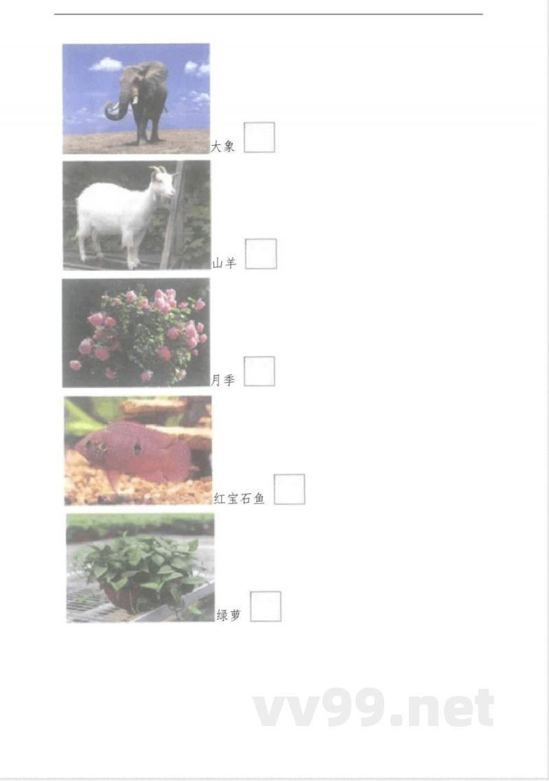 教科版一年级科学下册 2.1我们知道的动物 同步练习 (含答案解析)