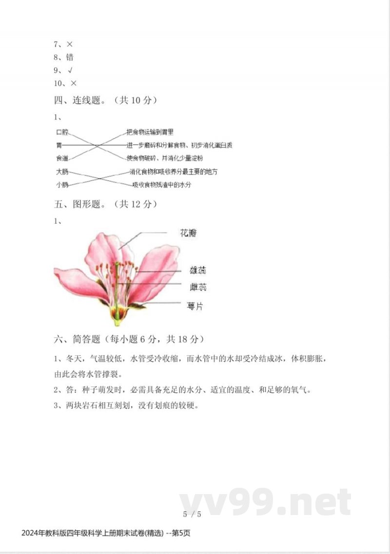 2024年教科版四年级科学上册期末试卷(精选)