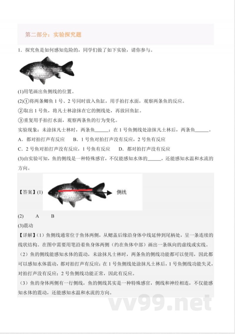 第一单元动物王国(知识清单)科学青岛版三年级上册2025 第一单元动物王国(知识清单)科学青岛版三年级上册2025