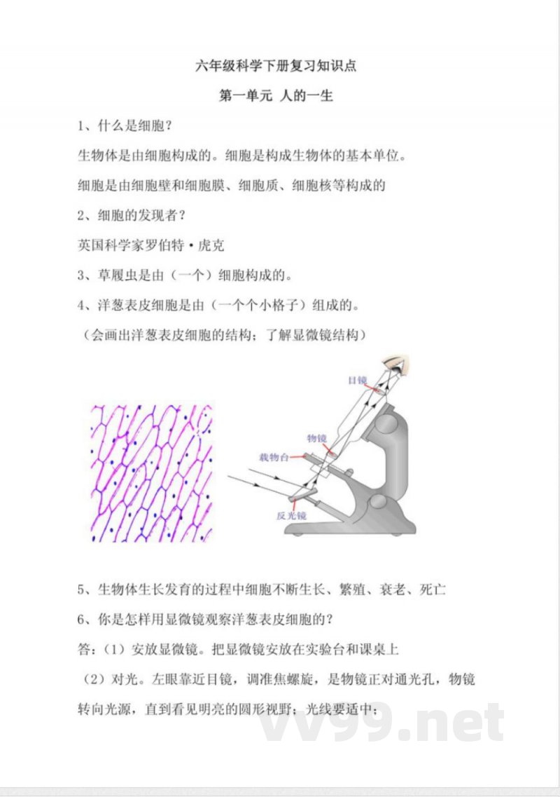 六年级科学下册知识点
