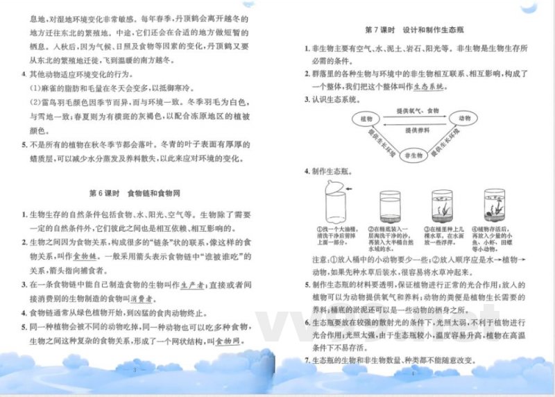 教科版五年级下册科学单元知识梳理