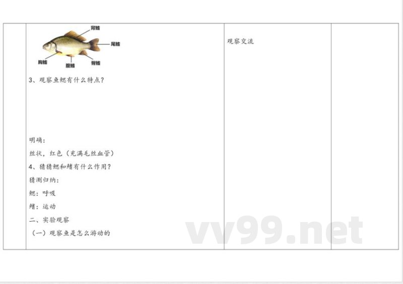 1.2 《鱼类》 教案 苏教版科学四年级上册
