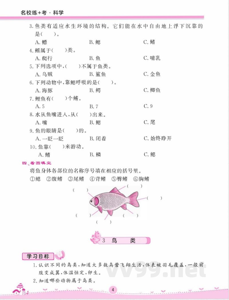 名校练 考四年级上册科学苏教版