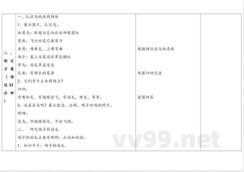 1.3《鸟类》 教案 苏教版科学四年级上册