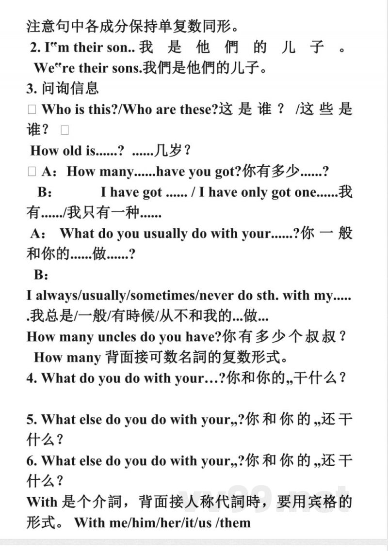 2025年沪教版六年级英语上册整套复习资料