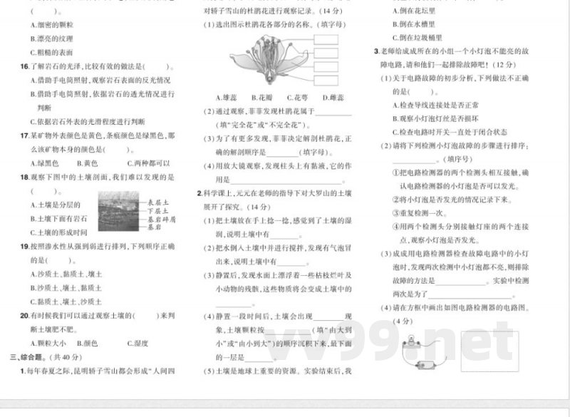 科学四年级下册（教科版）期末综合练习（含答案）