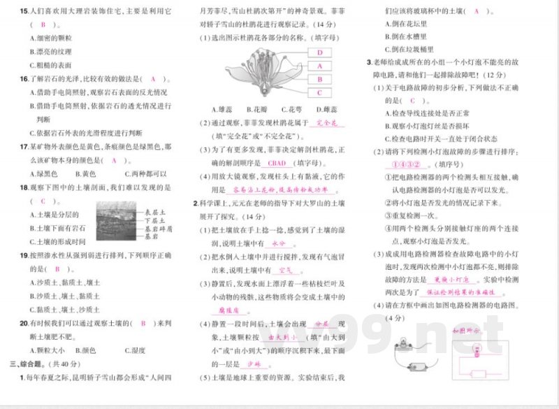 科学四年级下册（教科版）期末综合练习（含答案）
