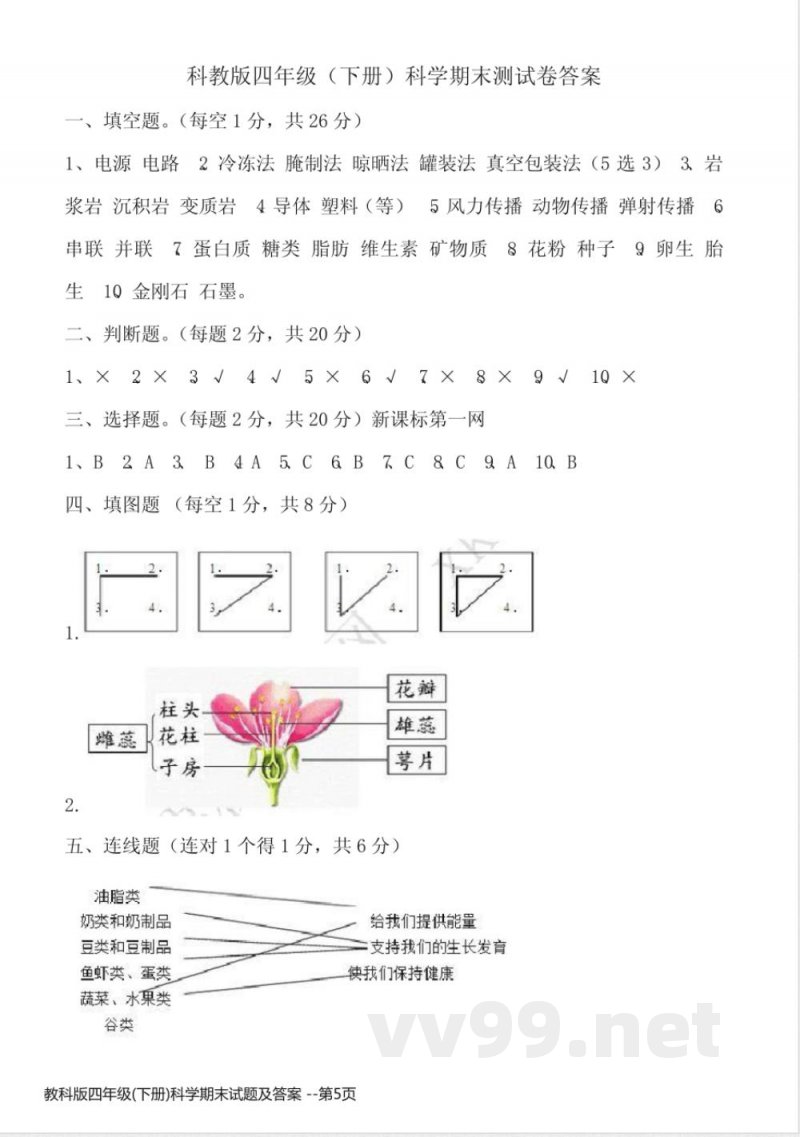 教科版四年级(下册)科学期末试题及答案 教科版四年级(下册)科学期末试题及答案