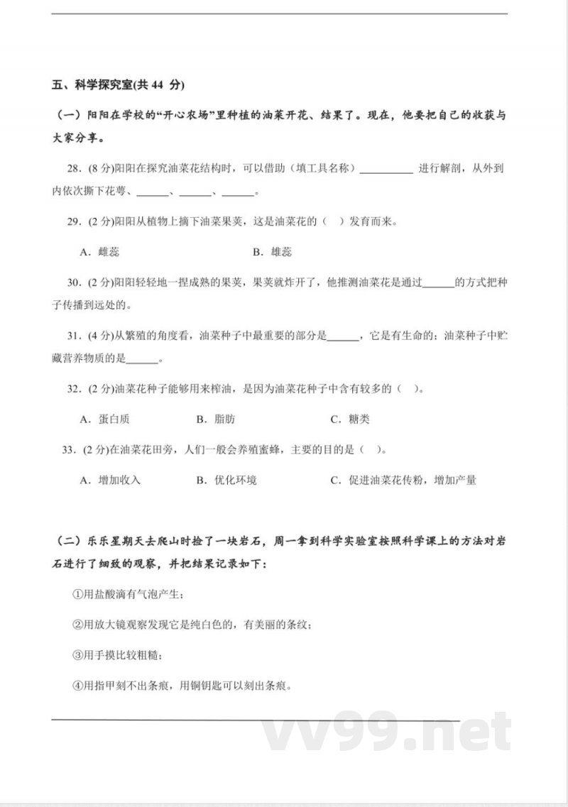 教科版科学·四年级下册期末信息必刷卷(二) 教科版科学·四年级下册期末信息必刷卷(二)