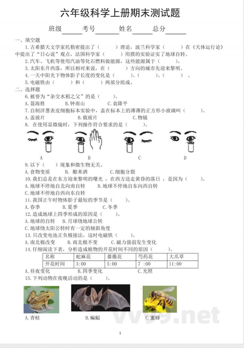 小学科学教科版六年级上册期末测试题3(2021新版,附参考答案)
