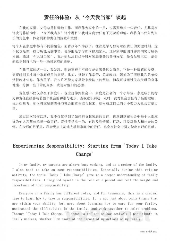 今天我当家作文：从写作中认识责任与家庭角色