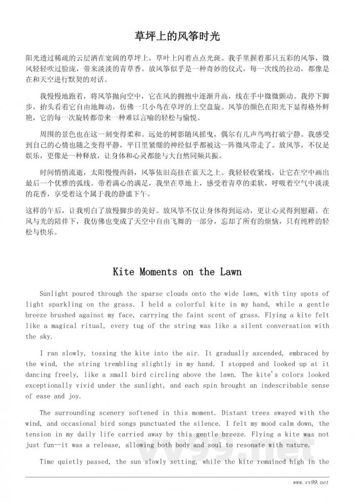 风筝飞翔：草坪上的悠闲下午时光
