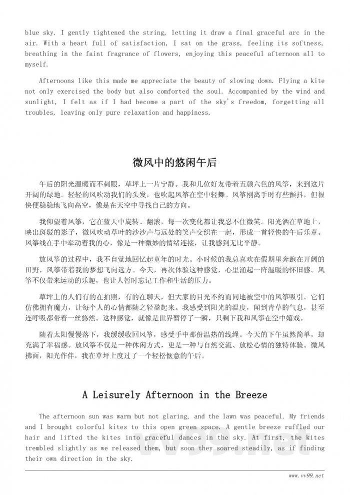 风筝飞翔：草坪上的悠闲下午时光