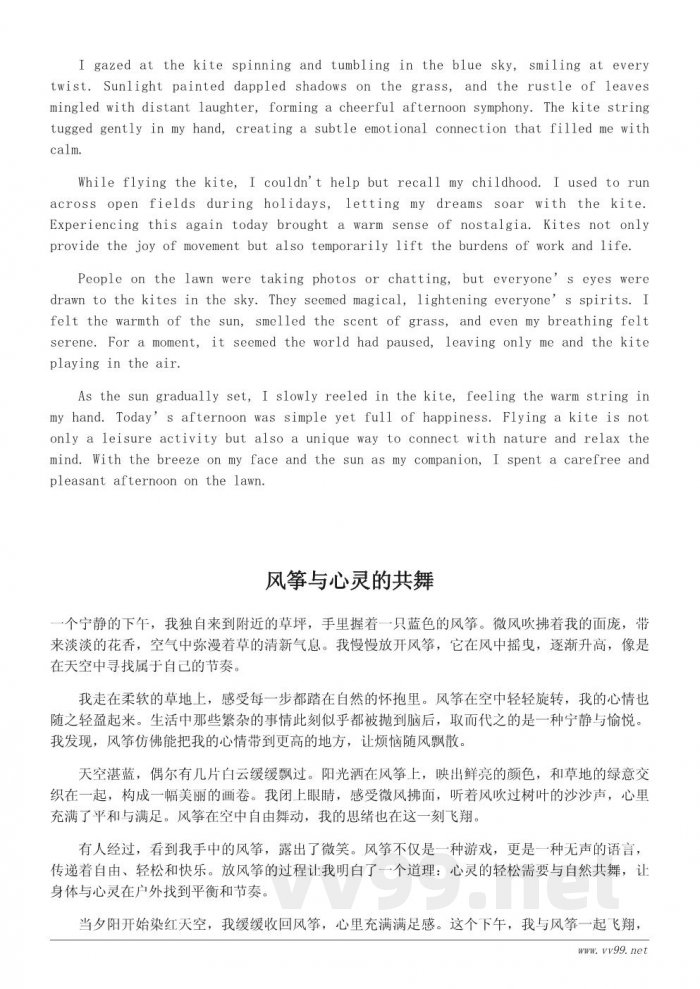 风筝飞翔：草坪上的悠闲下午时光