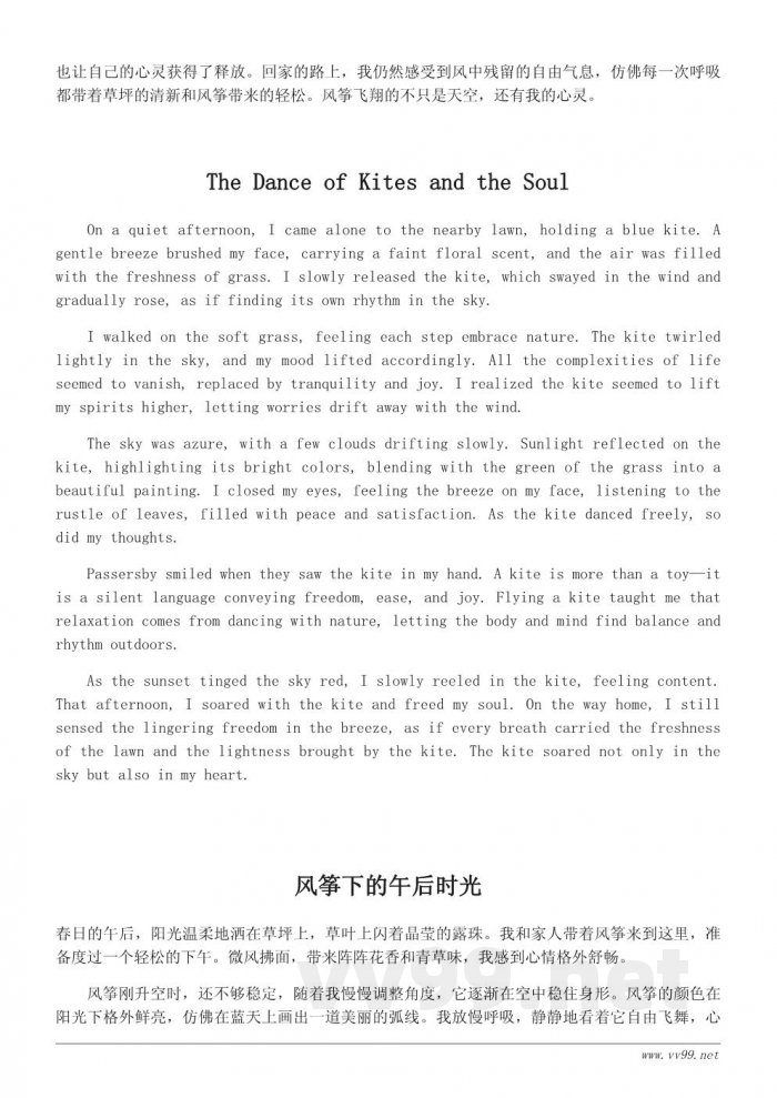 风筝飞翔：草坪上的悠闲下午时光