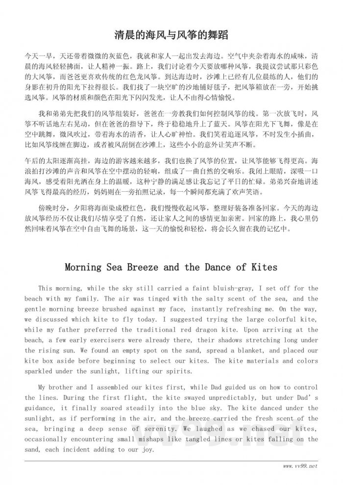 海边放风筝的日记：一天的风筝之旅