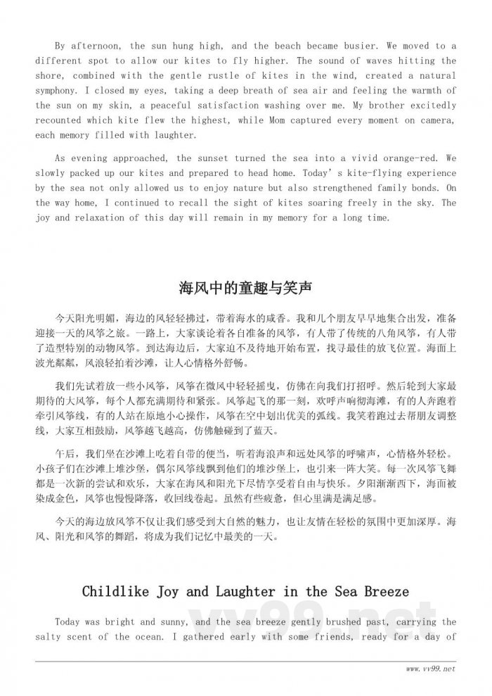 海边放风筝的日记：一天的风筝之旅