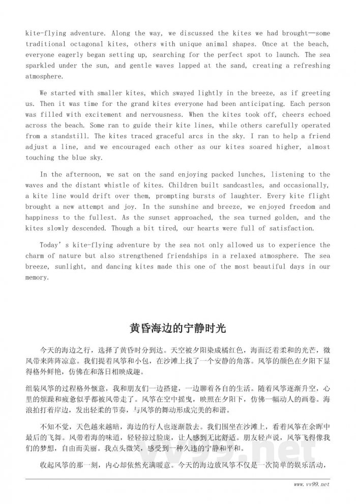 海边放风筝的日记：一天的风筝之旅