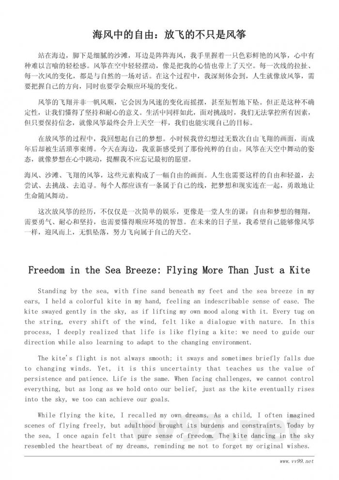 海边放风筝的感悟：自由与梦想的翱翔
