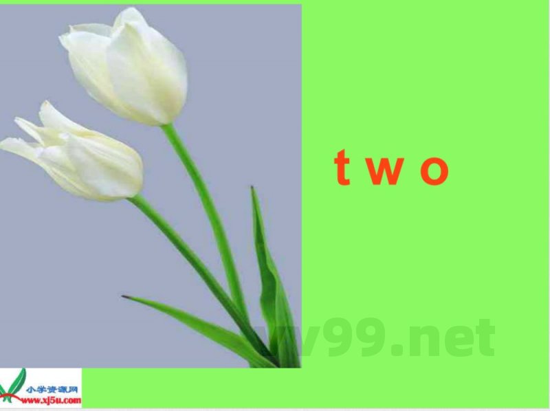 【三年级英语】(教科版)三年级英语上册课件