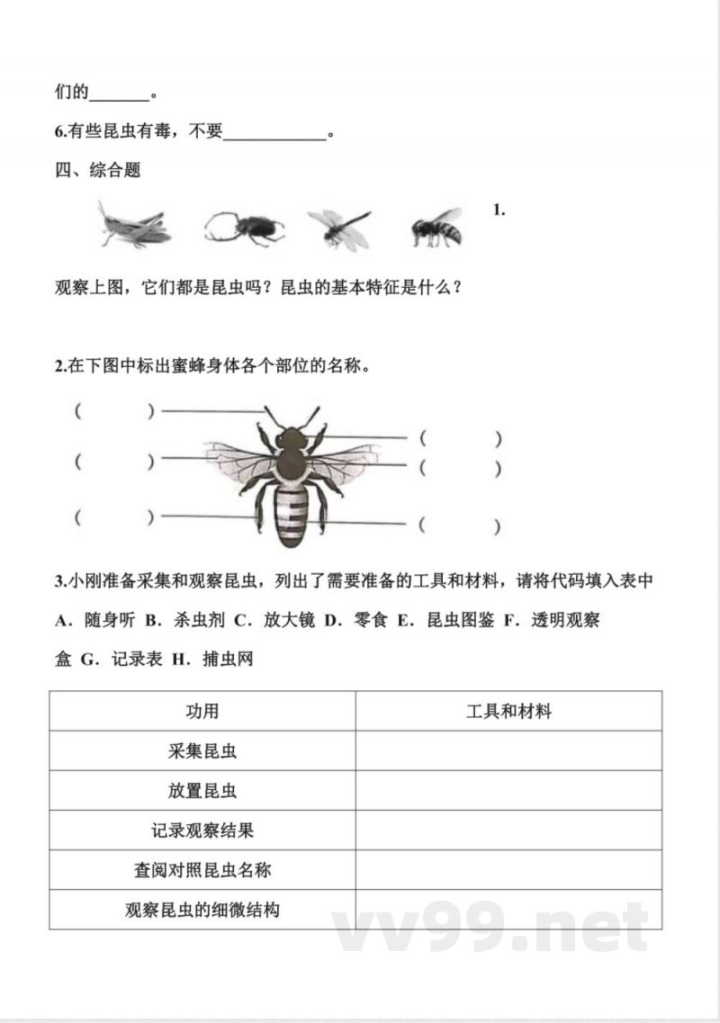 1.5 昆虫 分层作业科学三年级下册(冀人版) 1.5 昆虫 分层作业科学三年级下册(冀人版)