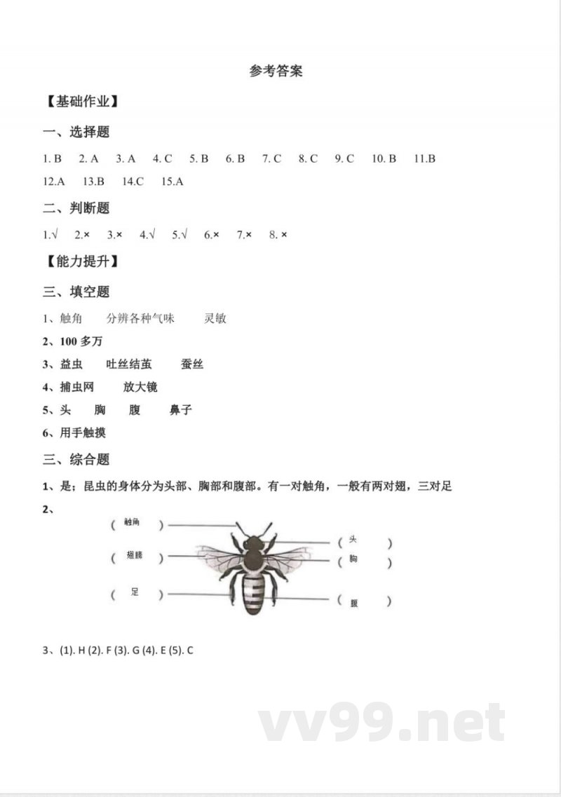 1.5 昆虫 分层作业科学三年级下册(冀人版) 1.5 昆虫 分层作业科学三年级下册(冀人版)