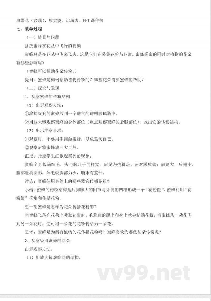 3.10 蜜蜂传粉（教学设计）-三年级科学下册（冀人版）