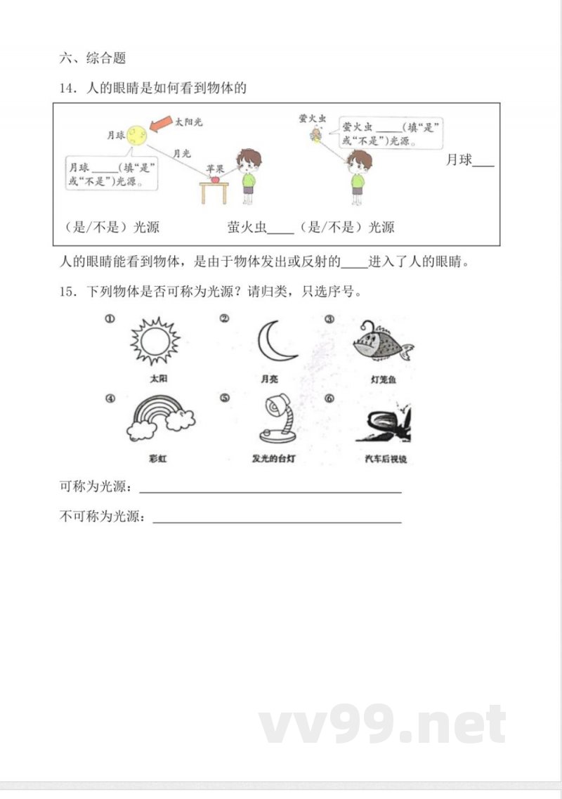 教科版科学五年级上册全册同步分层作业设计 教科版科学五年级上册全册同步分层作业设计