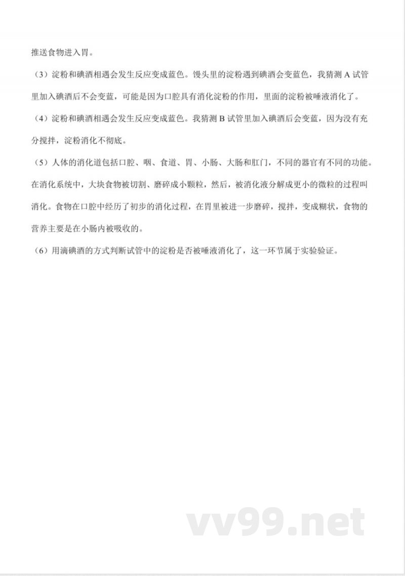 第二单元 消化与呼吸(知识清单)科学湘科版四年级上册 第二单元 消化与呼吸(知识清单)科学湘科版四年级上册