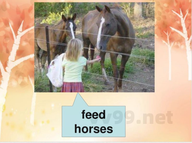 六年级上册英语广州版六年级英语课件上册