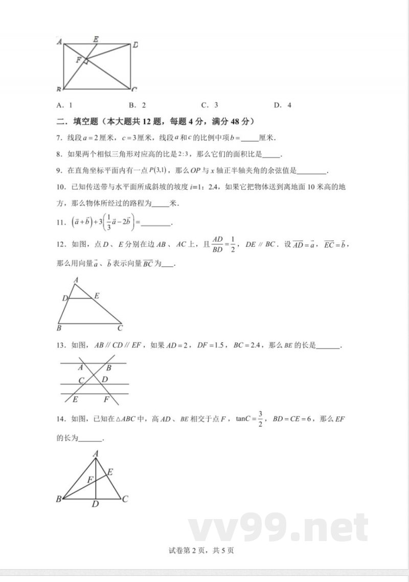 2025-2026学年沪教版九年级上学期期中复习数学试卷【含答案】