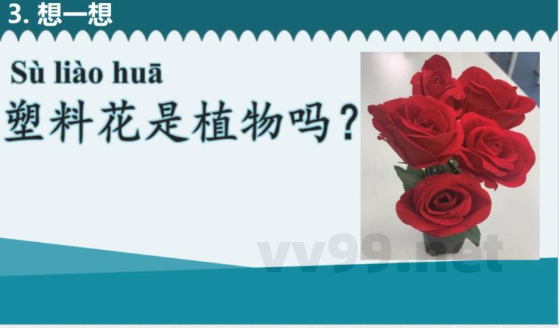 教科版 一年级上册《植物》单元 课件