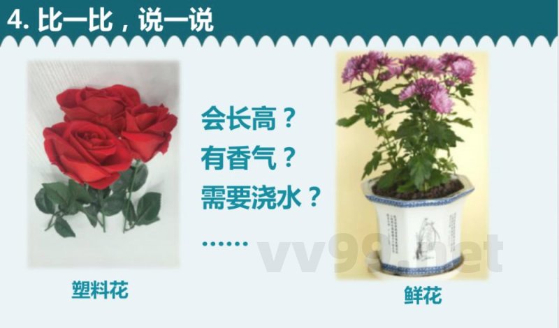 教科版 一年级上册《植物》单元 课件