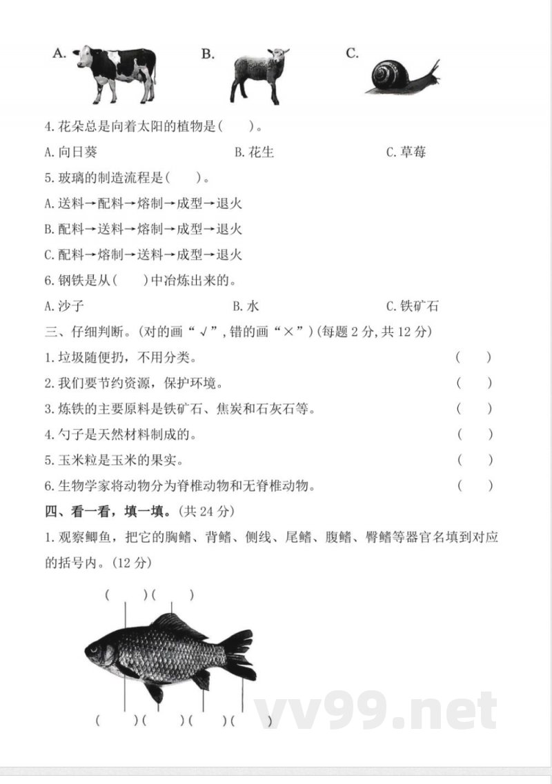 2025-2026学年冀人版科学三年级上册 期中 测试卷(有答案) 2025-2026学年冀人版科学三年级上册 期中 测试卷(有答案)