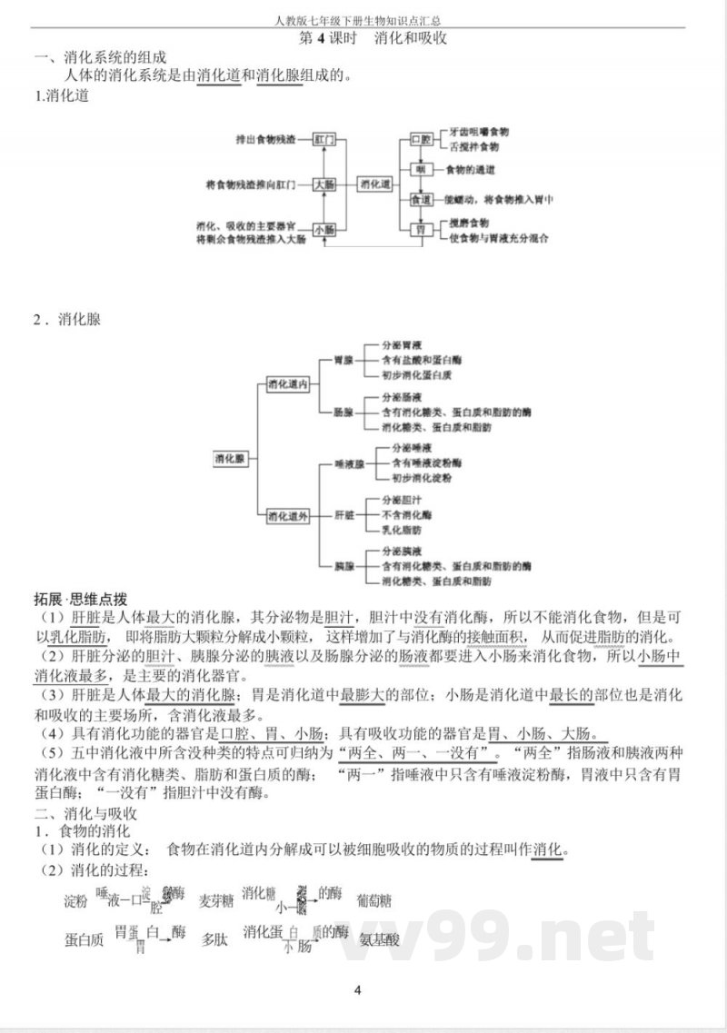 人教版七年级下册生物知识点汇总