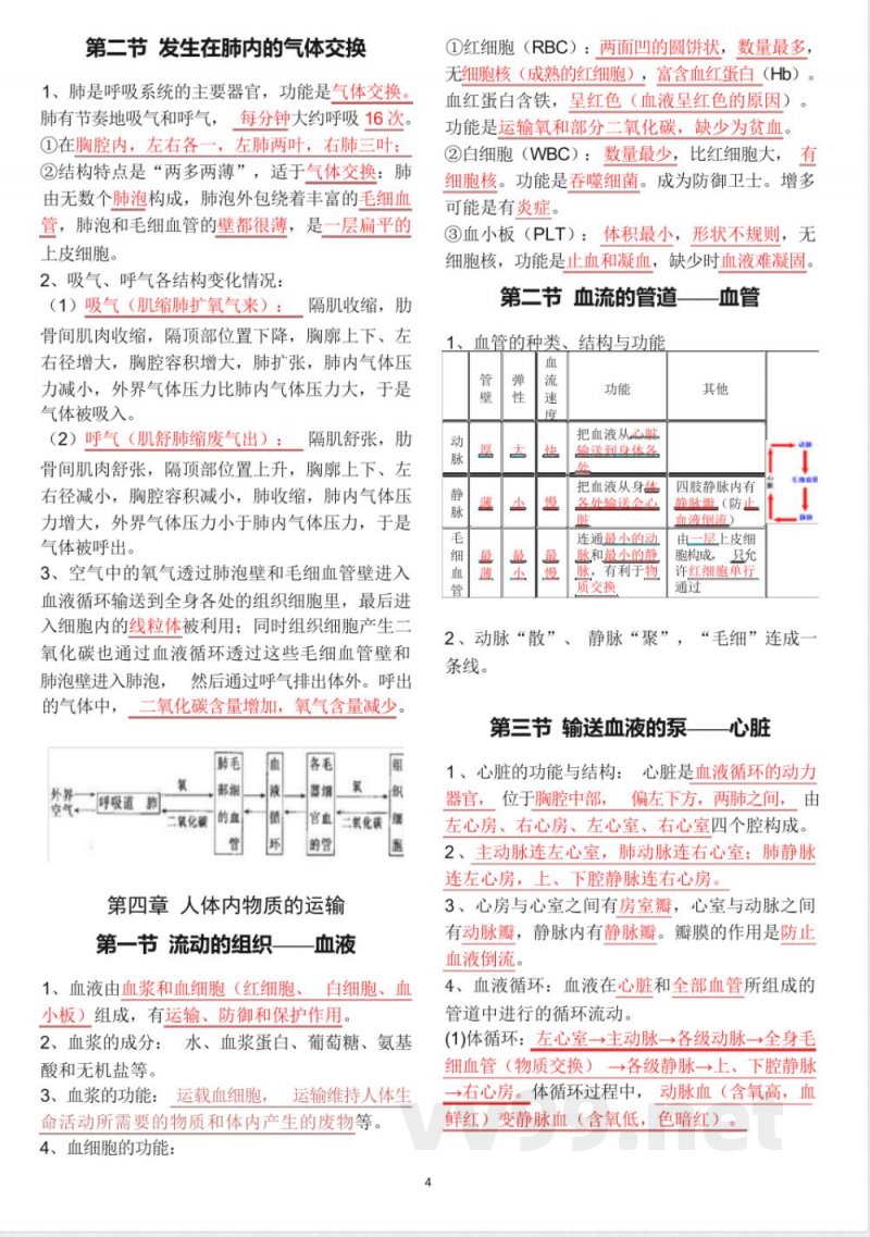 人教版七年级下册生物知识点总结 人教版七年级下册生物知识点总结