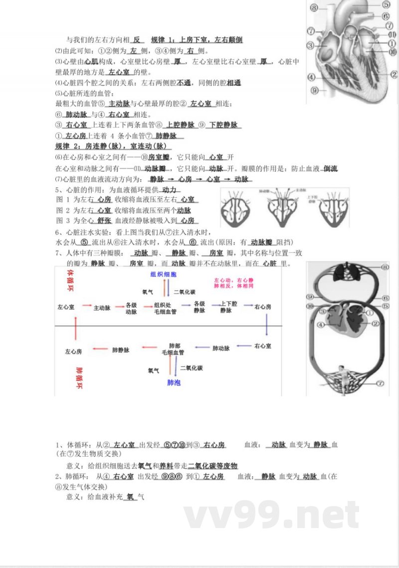 七年级下册生物知识点 七年级下册生物知识点