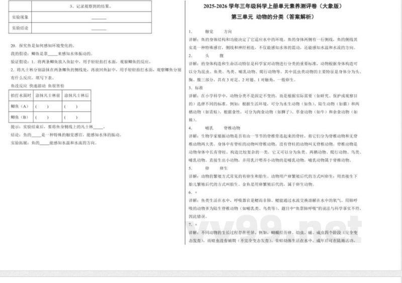 第三单元 动物的分类（单元测试）科学大象版三年级上册 A3版